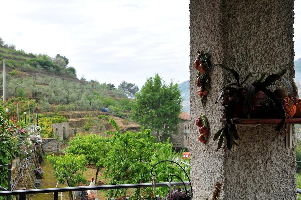 Le Rose Villa San Biagio della Cima Buitenkant foto