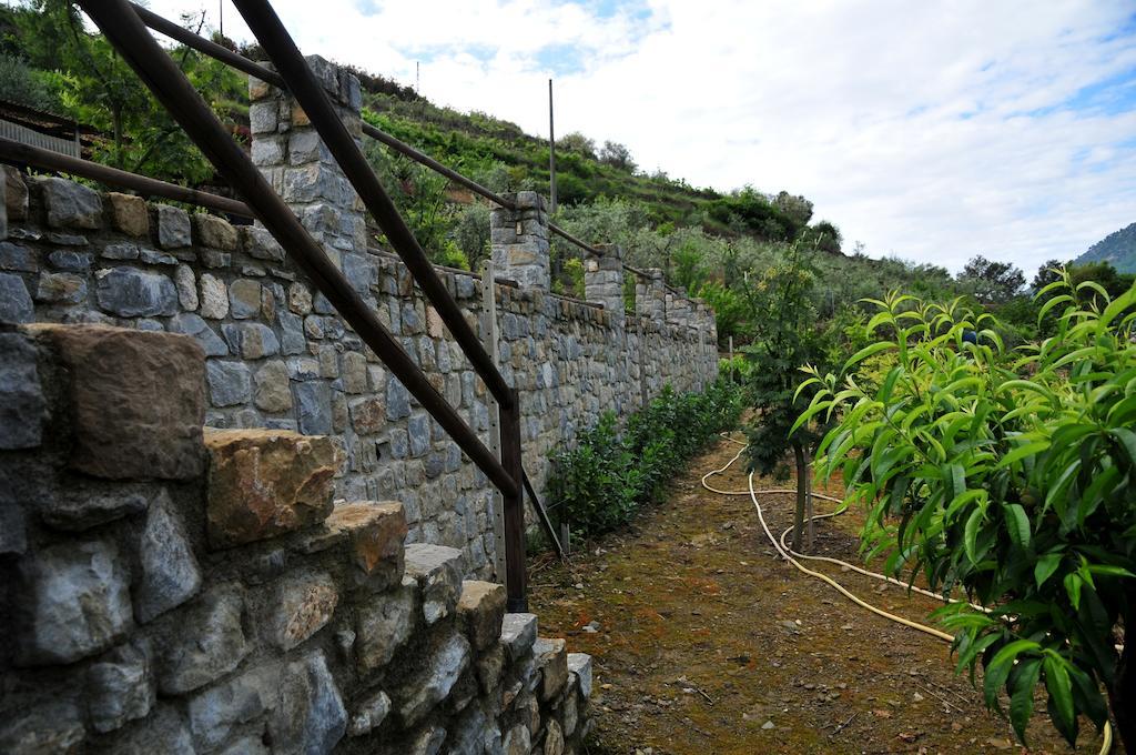 Le Rose Villa San Biagio della Cima Buitenkant foto